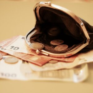 Изъятие денег из второй пенсионной ступени может лишить человека прожиточного пособия. Автор/источник фото: Pixabay.com.